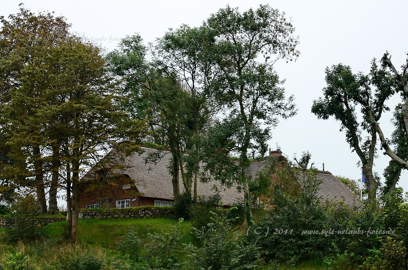 Insel Sylt Keitum 