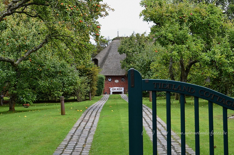 Insel Sylt Keitum 