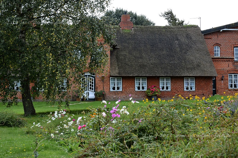 Insel Sylt Keitum 