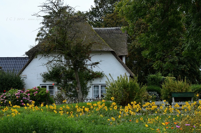 Insel Sylt Keitum 