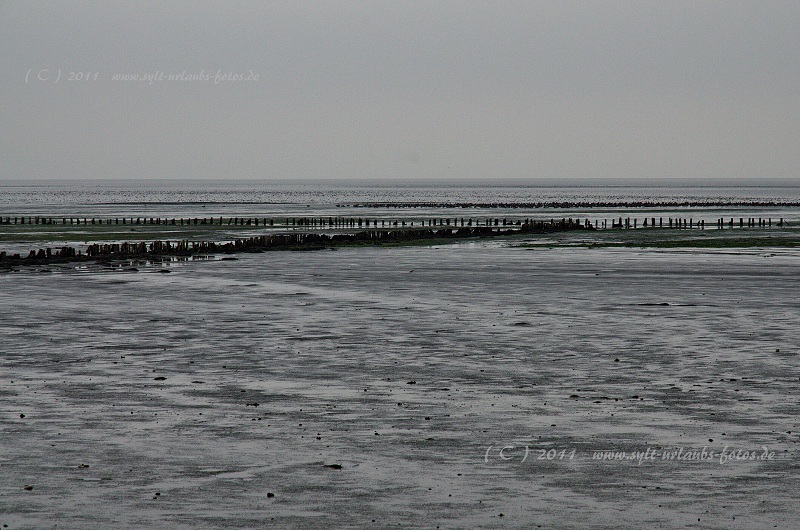 Insel Sylt Keitum Wattenmeer