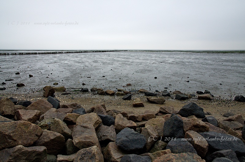 Insel Sylt Keitum Wattenmeer