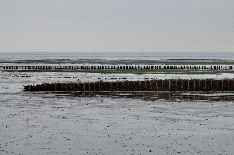 Insel Sylt Keitum Wattenmeer