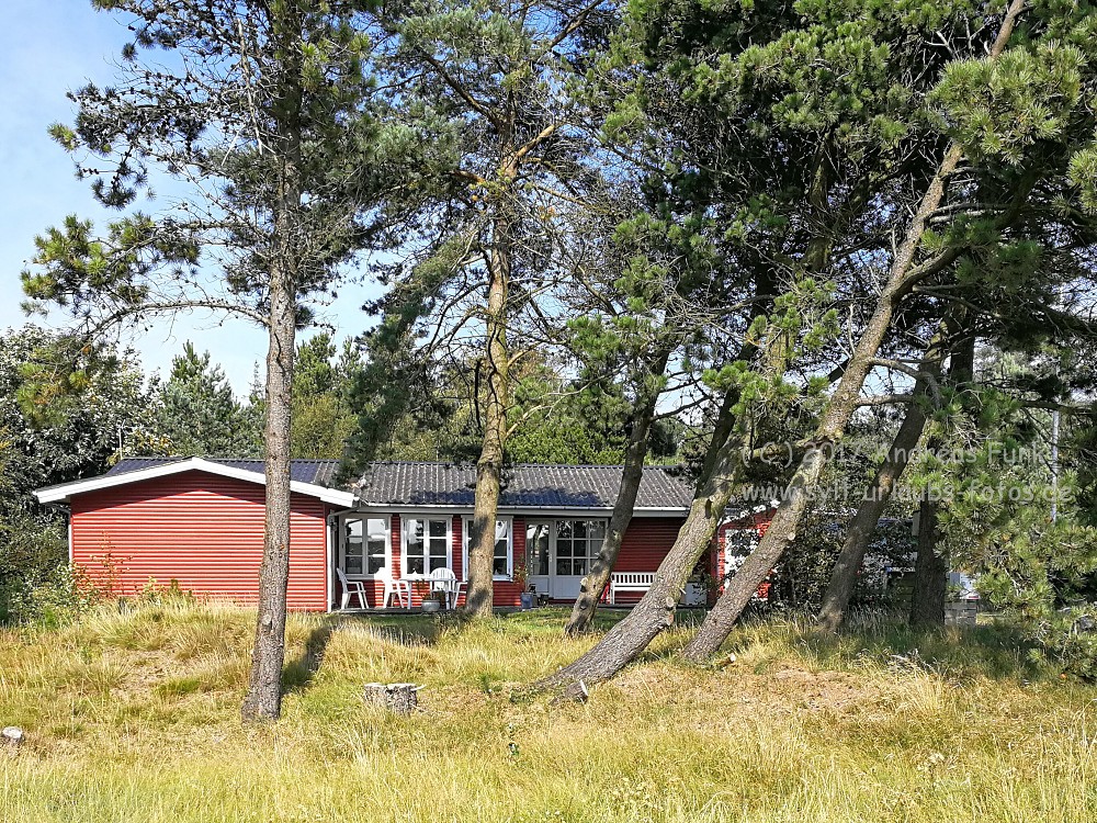 Sylt Rømø Tour mit Falk Eitner