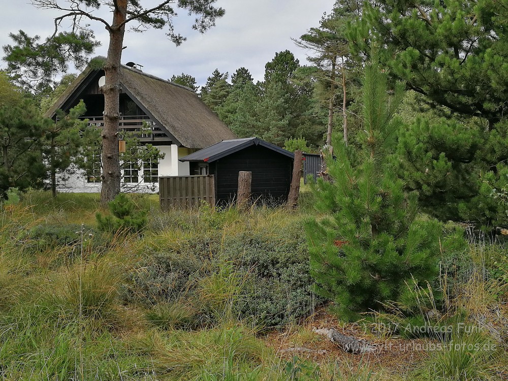 Sylt Rømø Tour mit Falk Eitner