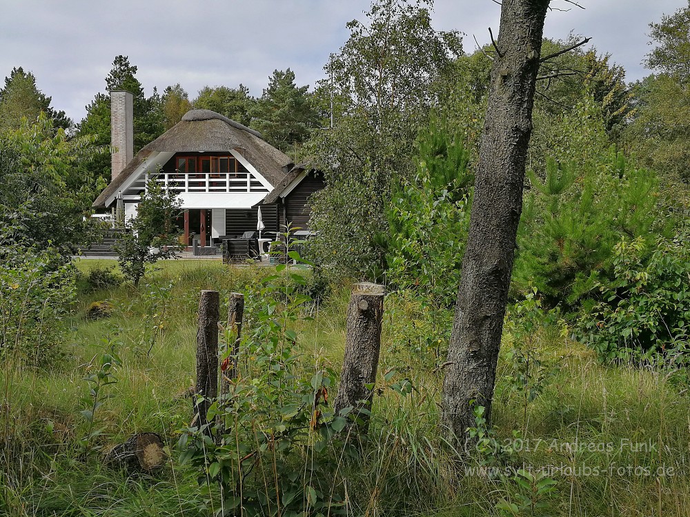 Sylt Rømø Tour mit Falk Eitner