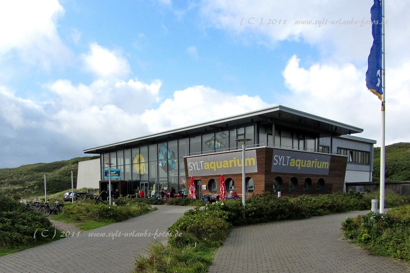 Insel Sylt Westerland Aquarium