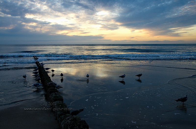 Insel Sylt Westerland Strandfotos