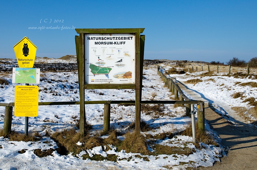 Sylt Winter 2012 - am Morsum Kliff