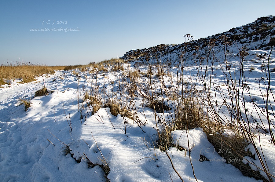 Sylt Winter 2012 - am Morsum Kliff