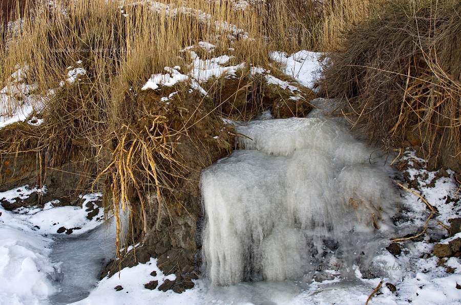 Sylt Winter 2012 - am Morsum Kliff