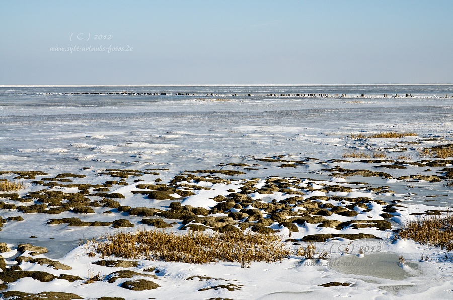 Sylt Winter 2012 - am Morsum Kliff