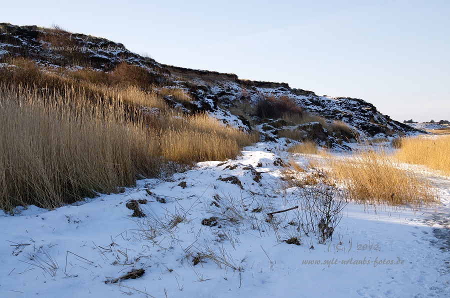 Sylt Winter 2012 - am Morsum Kliff