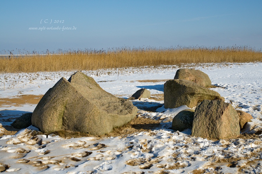 Sylt Winter 2012 - am Morsum Kliff