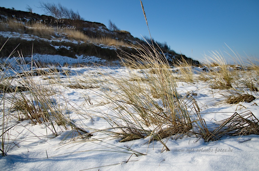 Sylt Winter 2012 - am Morsum Kliff