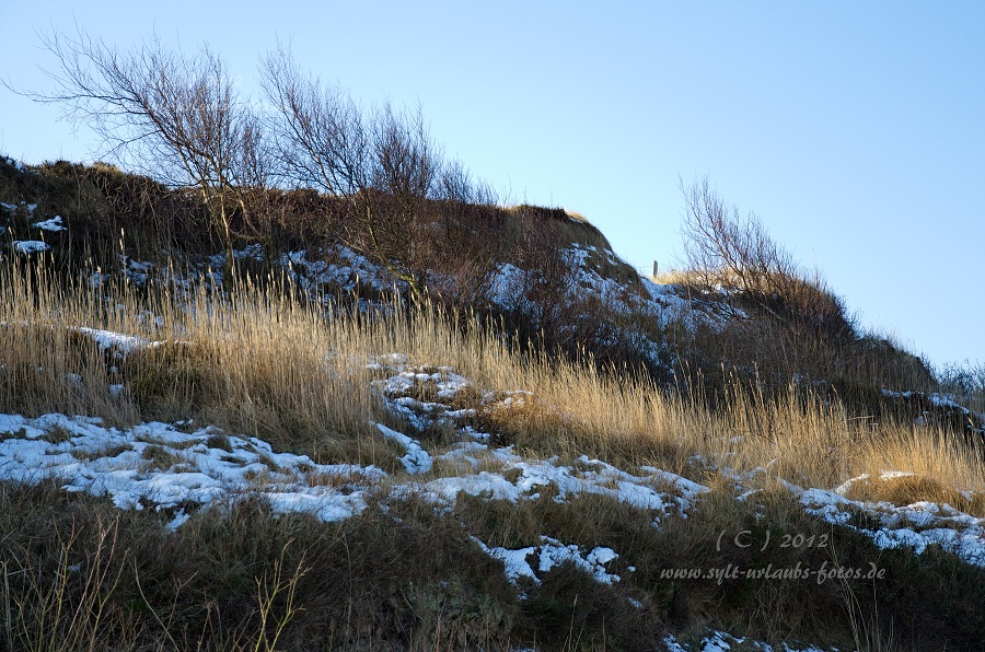 Sylt Winter 2012 - am Morsum Kliff