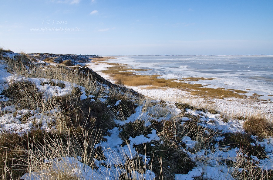 Sylt Winter 2012 - am Morsum Kliff