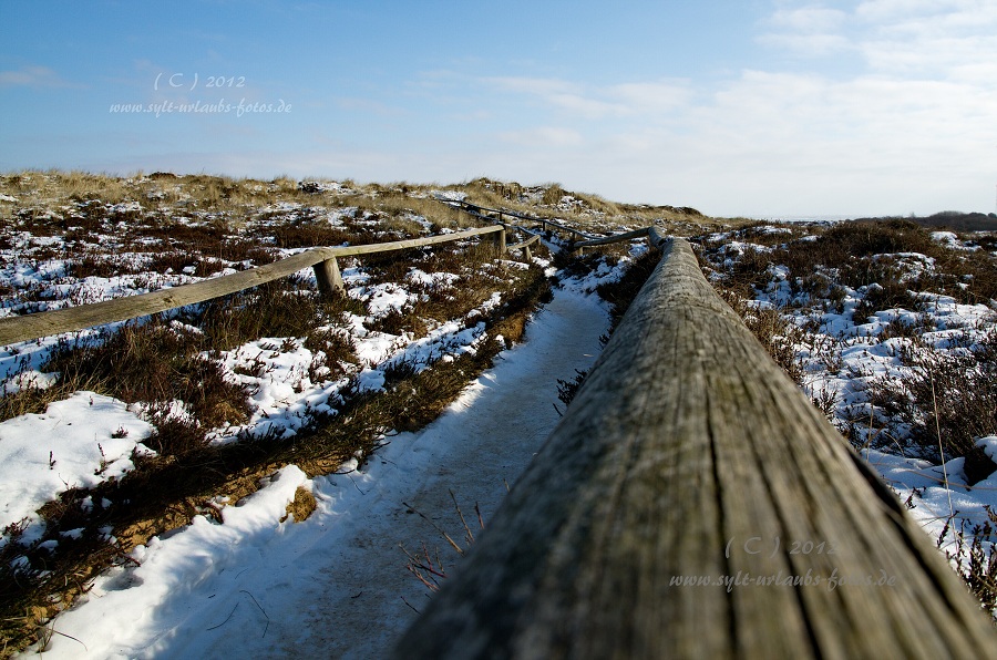 Sylt Winter 2012 - am Morsum Kliff