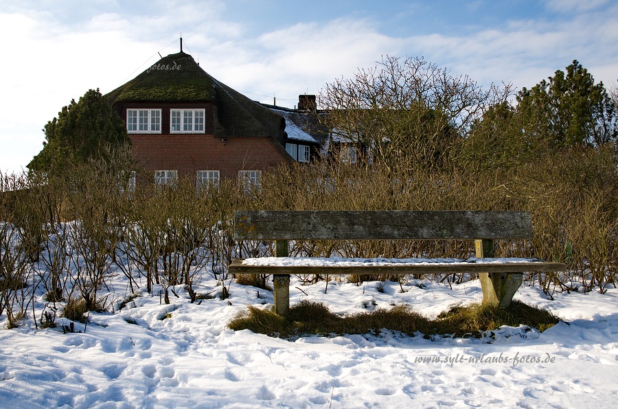 Sylt Winter 2012 - am Morsum Kliff