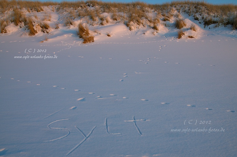 Sylt Winter 2012 - zwischen Westerland und Wenningstedt