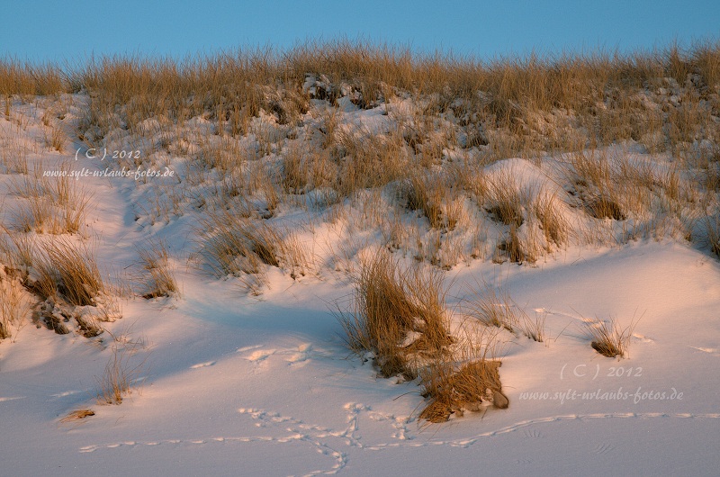 Sylt Winter 2012 - zwischen Westerland und Wenningstedt