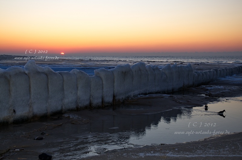 Sylt Winter 2012 - zwischen Westerland und Wenningstedt